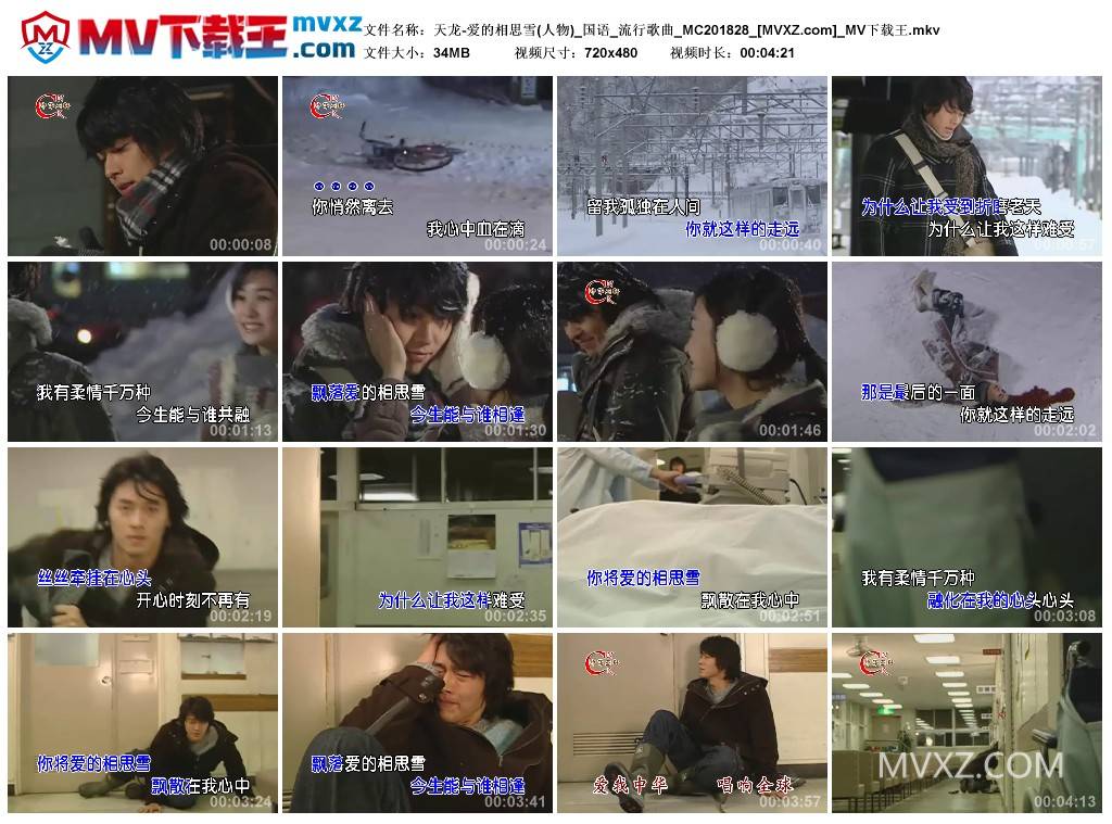 天龙-爱的相思雪(人物)_国语_流行歌曲_MC201828